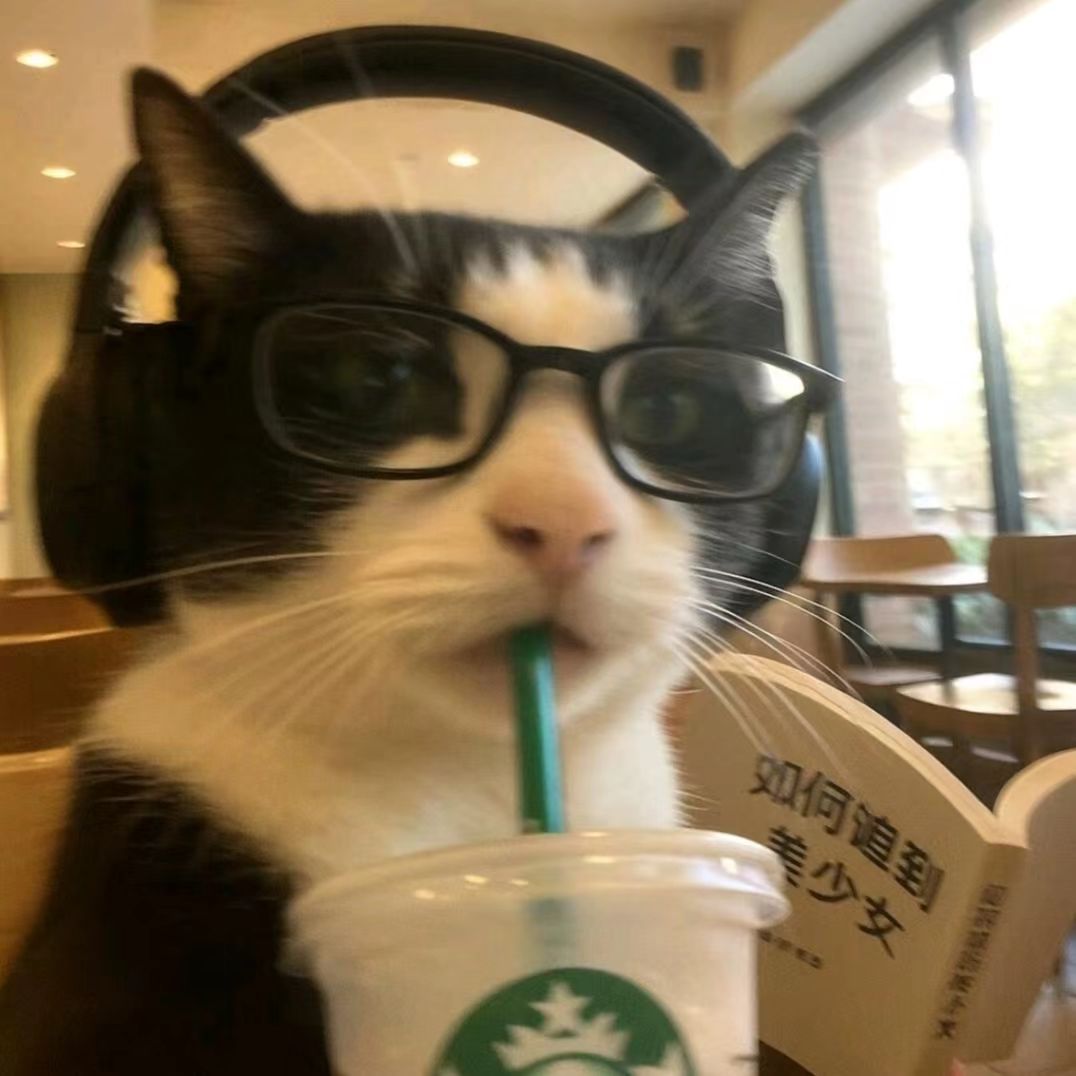Cats